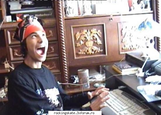 crazy ass ape at computer a.k.a. imagini haioase